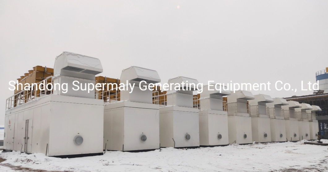 1MW 2MW 5MW 10MW Power Plant for Industry Park