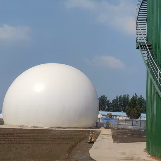 家畜ふん尿バイオガス発電所